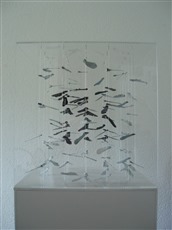 Geometrie I, 2012, Plexiglasbox schwarzer Quader, Samenkapseln,von vorne, 30x30x25cm