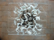 Geometrie I, 2012, Plexiglasbox, schwarzer Quader, Samenkapseln, von oben, 30x30x25cm