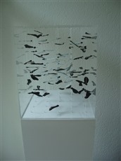 Geometrie II, 2012, Plexiglasbox, weisser Quader, Samenkapseln, von vorne,  30x30x25cm