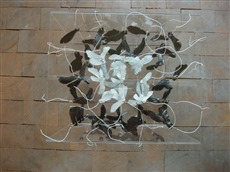 Geometrie II, 2012, Plexiglasbox weisses Quadrat, Samenkapseln, von oben, 30x30x25cm