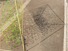 Objekt Versponnen, Detail  Schatten aussen