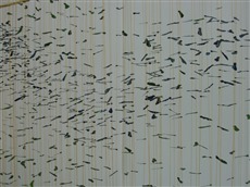 Objekt Versponnen, Samenkapseln, Detail