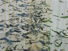 Objekt Versponnen, Detail in Bewegung