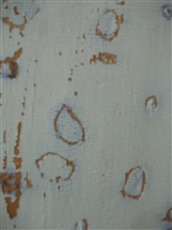 Magischer Kreis Nr. 3, 2010, Holz mit Geschichte, bemalt, Detail