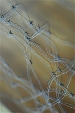 Im Fadenkreuz II, Detailansicht, FensterSchauFenster, Okt.2011