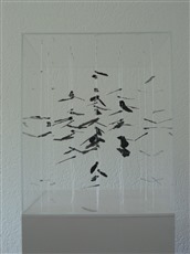 Geometrie III, 2012, Plexiglasbox, Quader auf Spitz, Samenkapseln, von vorne, 30x30x25cm