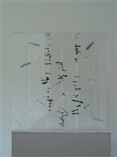 Geometrie IV, 2012, Plexiglasbox, Spiralen, Samenkapseln, von vorne, 30x30x25cm