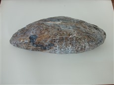 Vom Wasser frei gegeben I, 2006, objet  trouvé, Holz und Wachs, 20x70cm