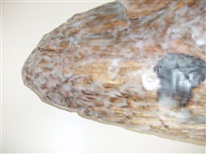 vom Wasser frei gegeben I, 2006, Detailansicht, objet trouvé