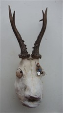Den Bock zum Gärtner machen, 1998, Gehörn und Gips, 32x16cm