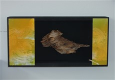 <center>Leben II / 2007<br />objet trouvé / bemaltes Papier<br />15x30cm</center>